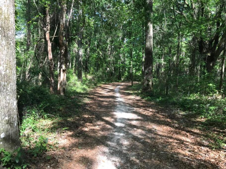 Town & Country Hideaway - 1Br/1Ba, 20 Min Famu/Fsu Apartment Tallahassee Bagian luar foto